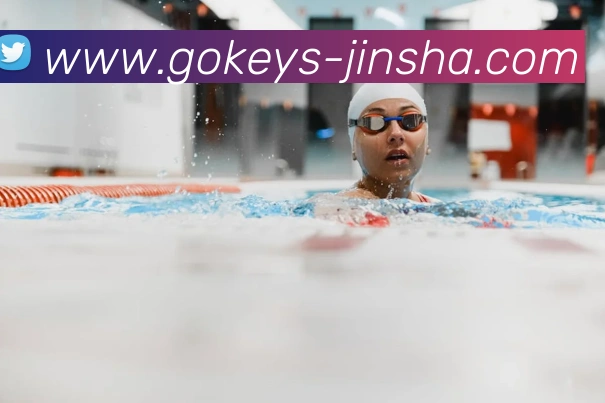 金沙国际平台生态图